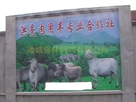 肉用羊專業(yè)合作社